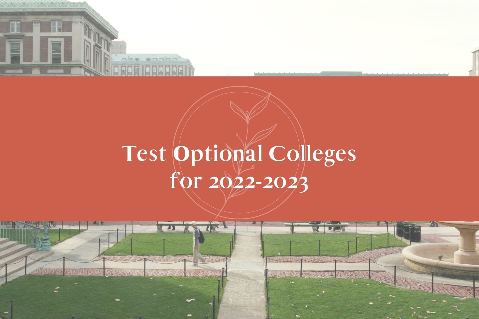 Test Optional Colleges for 20222023 The College Curators